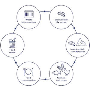 Économie circulaire @ credit Goterra