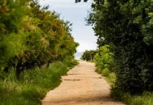 Bassin d’Arcachon : 140 chambres en projet