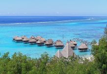 Polynésie française | Intercontinental Moorea : licenciés et désormais oubliés