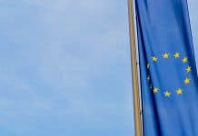 Durabilité 🇪🇺 | Rapports sur la durabilité et devoir de vigilance : le Parlement européen adopte la simplification des obligations pour les entreprises