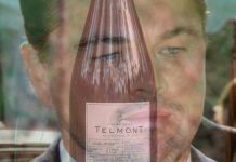 Visite surprise de Leonardo DiCaprio en France