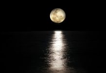 Hommage | Night Auditor, couteau suisse de l’hôtellerie !