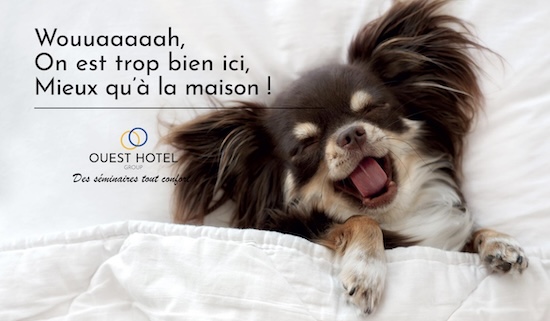 @ credit Ouest Hotel Group / OHG.jpg