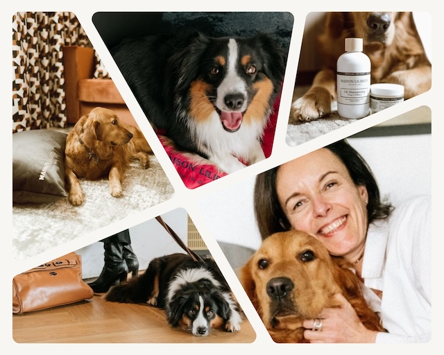 @ credit Maison Lilibeth