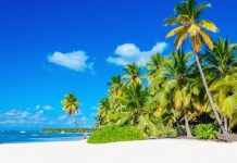 Économie, Antilles | Martinique, une hôtellerie toujours en déshérence !