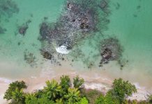 Ouverture septembre 2024, Madagascar | Philippe Kjellgren (PK’s List et Kiwi Collection) lance « Voaara »