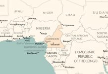 Projet, Cameroun | À Yaoundé, le projet de l’Hôtel du Lac suscite les convoitises ! Cameroon on the world map. Shot with light depth of field focusing on the country @ credit Depositphotos