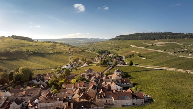 Burgundy-vineyards-Aerial-views Resort Photography