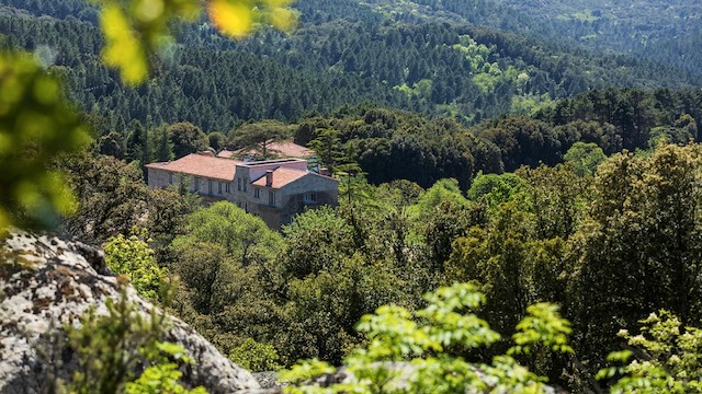 Vue du ciel @ credit Domaine Le Mouflon d'or