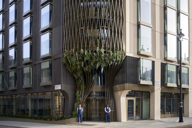 @ credit The Bo Tree