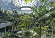 Ouverture 2028, Singapour | L’australien Salter Brothers partenaire de Tokyo Century pour le développement de l’hôtel Indigo Changi Airport
