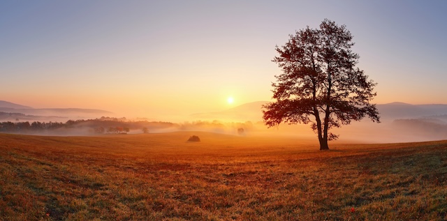 Illustration @ Depositphotos