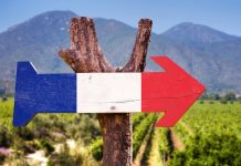 Développement | Œnotourisme, la France à l’heure de la maturité (et de la méthode) Œnotourisme en France @ credit Depositphotos