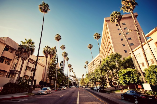 Palm streets of Beverly Hills, Los Angeles, California