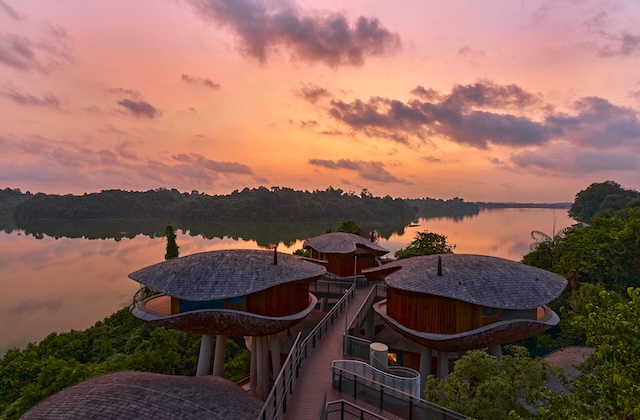 Mandai Rainforest Resort by Banyan Tree, Singapore @ credit Banyan Group