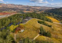 Ouverture 2027, Californie | Rosewood Calistoga, un nouveau chapitre au cœur de la Napa Valley Vue aérienne du futur Rosewood Calistoga @ credit Rosewood