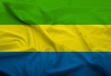 Gabon | Omar Denis Junior Bongo Ondimba se lance dans l’hôtellerie et reprend la gestion de l’Hôtel Poubara Drapeau du Gabon @ credit Depositphotos