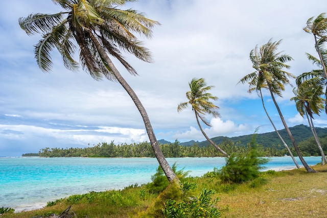 White sand beach at Coral Garden, Huahine, French Polynesia, with turquoise waters