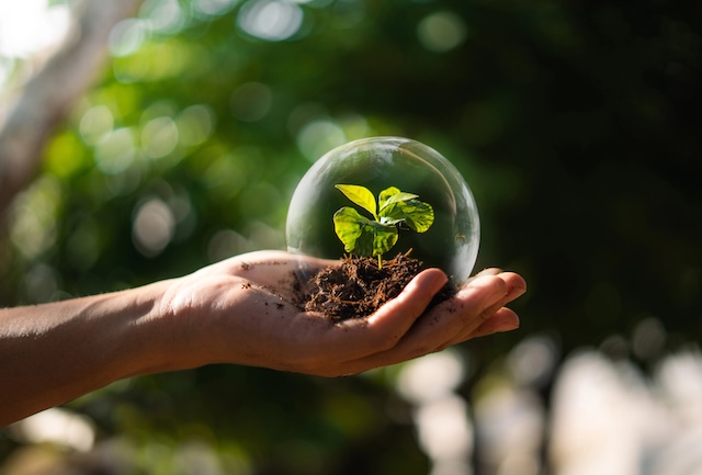 Écologie @ credit Depositphotos.comL