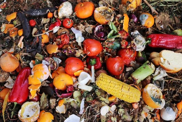 Gaspillage alimentaire @ credit Depositphotos.com