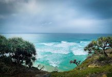 Ouverture 2026, Australie | La Vie Hotels & Resorts remporte le contrat de gestion du futur resort de luxe de Lindeman Island (ex-Club Med) Illustration Magnifique paysage marin avec palmiers et pandanus, île de North Stradbroke, Queensland, Australie