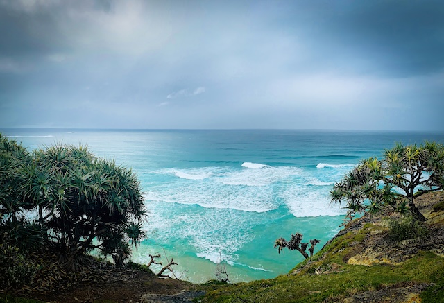 Illustration Magnifique paysage marin avec palmiers et pandanus, île de North Stradbroke, Queensland, Australie