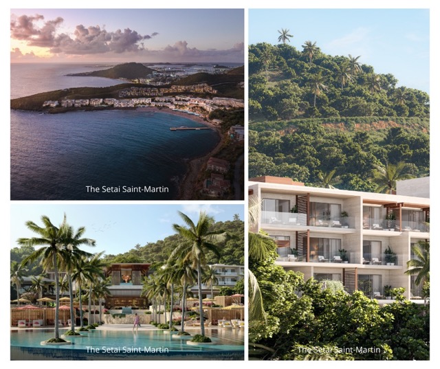 @ credit The Setai Martin