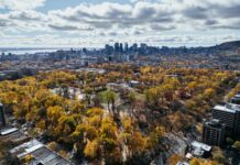 Québec | L’Association Hôtellerie du Québec réclame des mesures structurantes pour un secteur générant 3,3 G$ Aerial view of downtown Montreal and autumn trees in park under cloudy sky. g.