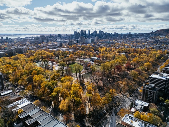 Aerial view of downtown Montreal and autumn trees in park under cloudy sky. g.