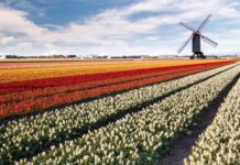 Développement 🇪🇺 | Le néerlandais Fletcher Hotels accélère son développement européen avec 30 nouveaux partenaires en Allemagne et Belgique Paysage hollandais @ credit Depositphotos