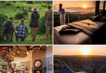 1er avril 2026, Afrique du Sud | Kerzner International à la barre de la Shamwari Private Game Reserve Shamwari Private Game Reserve @ credit Kerzner